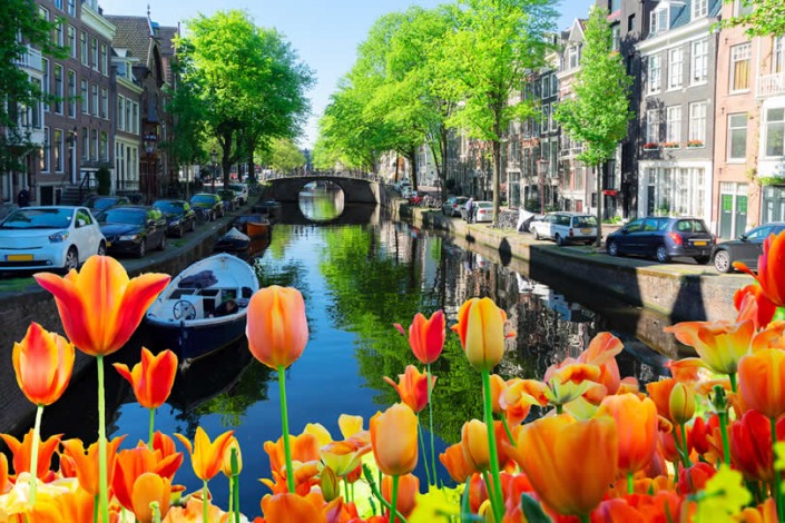 where-to-stay-in-the-netherlands-13-best-places-to-visit